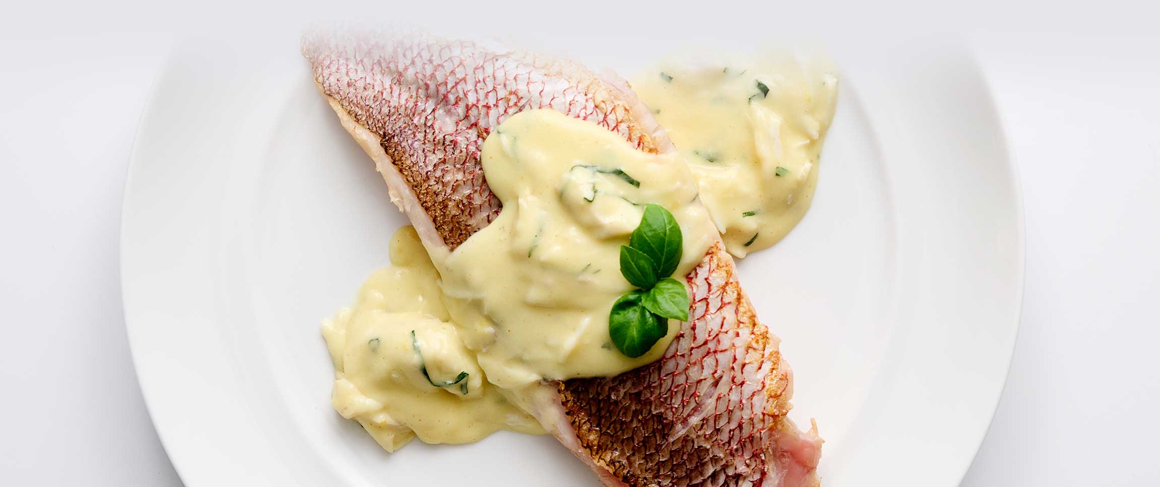 Snapper with Crab Meat Hollandaise