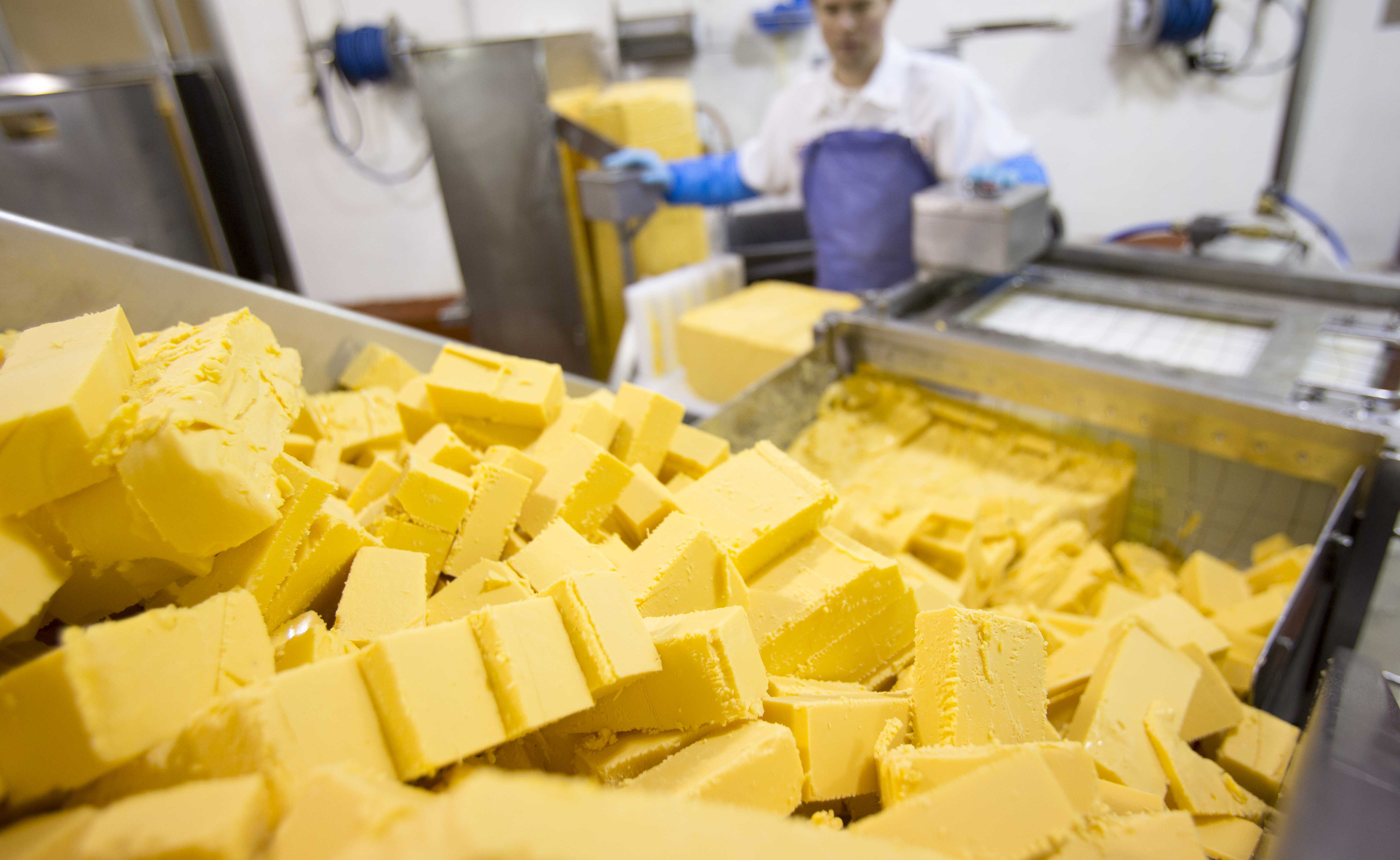 Cheese Processing