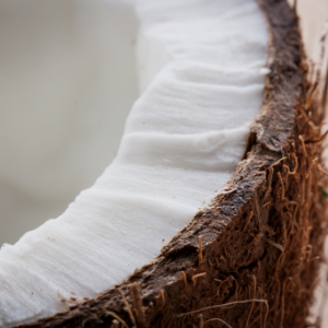 Close-up of a Coconut