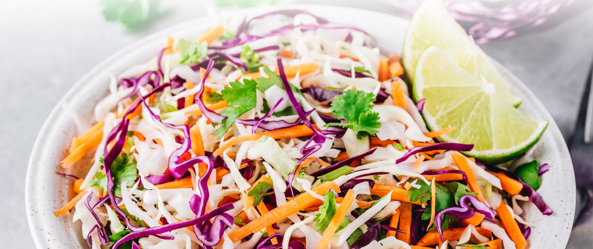 Cilantro Lime Cabbage Slaw
